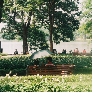 原神同人动漫国外观看
